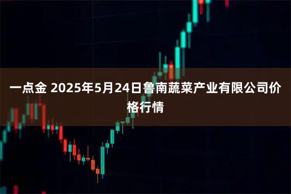 一点金 2025年5月24日鲁南蔬菜产业有限公司价格行情