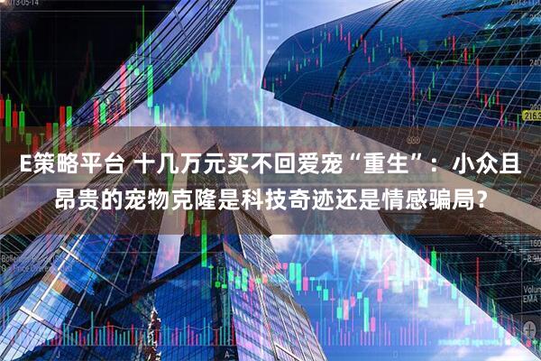 E策略平台 十几万元买不回爱宠“重生”：小众且昂贵的宠物克隆是科技奇迹还是情感骗局？