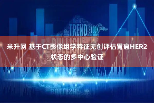 米升网 基于CT影像组学特征无创评估胃癌HER2状态的多中心验证