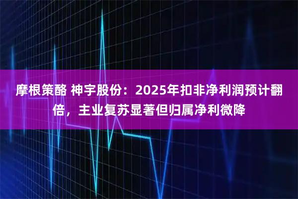 摩根策酪 神宇股份：2025年扣非净利润预计翻倍，主业复苏显著但归属净利微降