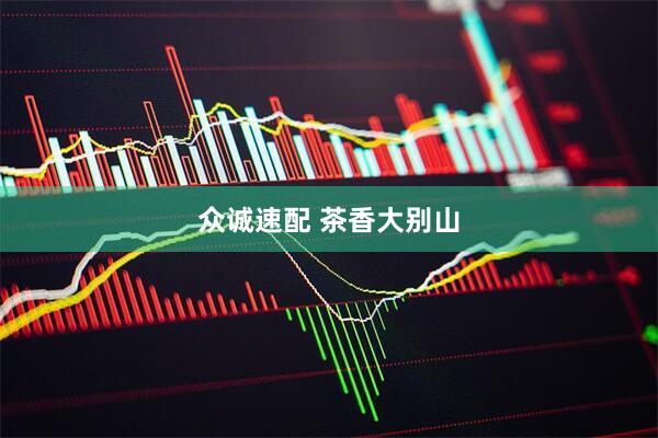 众诚速配 茶香大别山