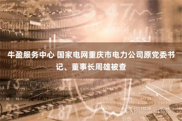 牛盈服务中心 国家电网重庆市电力公司原党委书记、董事长周雄被查