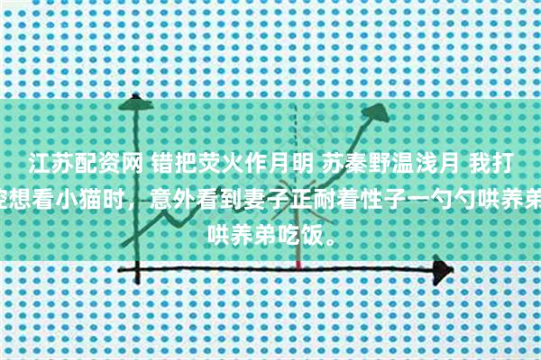江苏配资网 错把荧火作月明 苏秦野温浅月 我打开监控想看小猫时，意外看到妻子正耐着性子一勺勺哄养弟吃饭。
